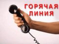 Горячую линию Миндоходов засыпали вопросами об электронной отчетности для бизнеса 